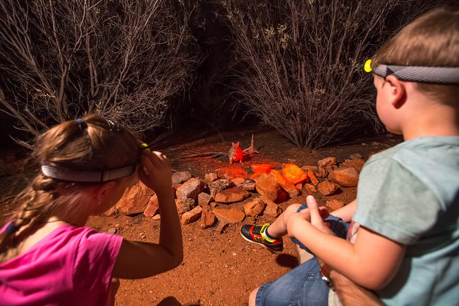 Alice Springs Desert Park Nocturnal Tour - Admission and Ticketing