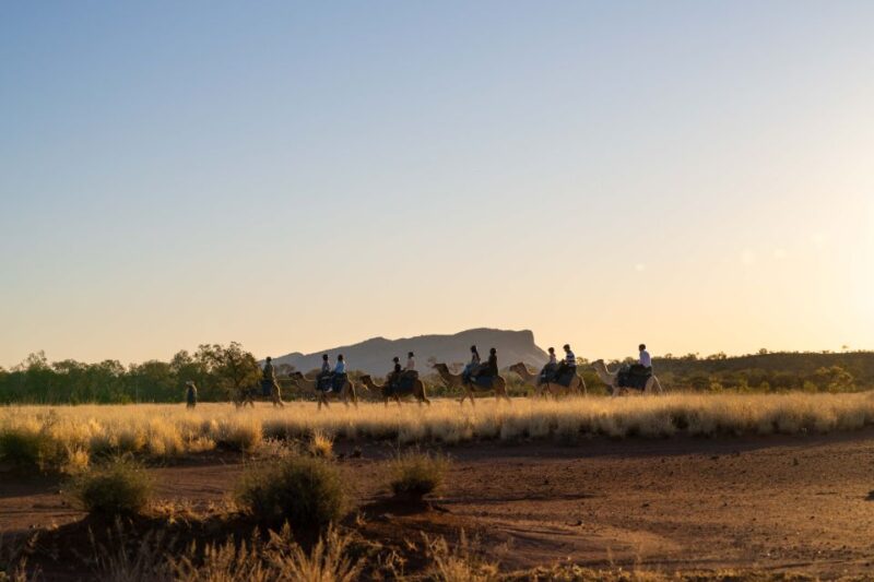 Alice Springs: Guided Outback Camel Ride - Experience Highlights