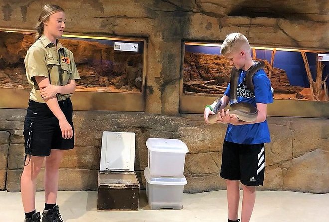 Alice Springs Highlights Tour - Explore the Royal Flying Doctor Service