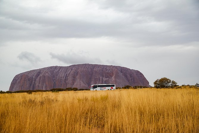 Alice Springs to Ayers Rock (Uluru) One Way Shuttle - Highlights of the Journey