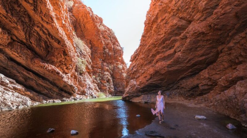 Alice Springs: Town Highlights and West MacDonnell Ranges - Simpsons Gap and Standley Chasm
