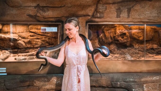 Alice Springs: Town Highlights and West MacDonnell Ranges - Important Information