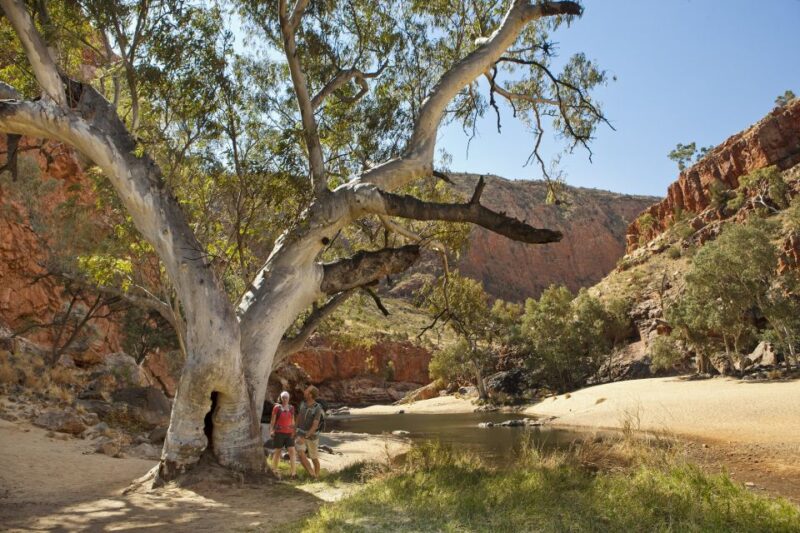 Alice Springs: West MacDonnell Ranges & Standley Chasm Tour - Simpsons Gap