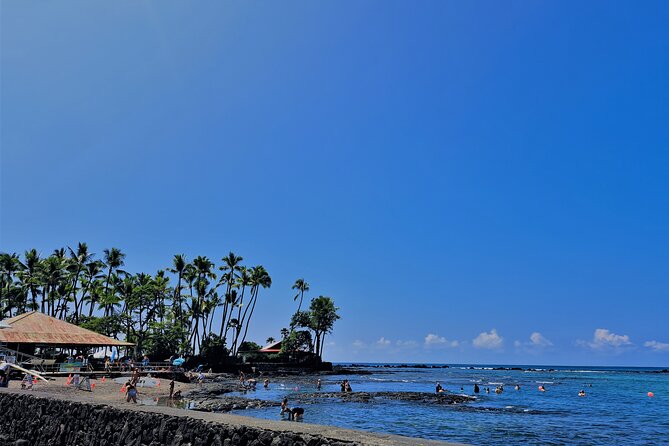 Alii Private Tour in Luxury Van - Luxury Van Experience