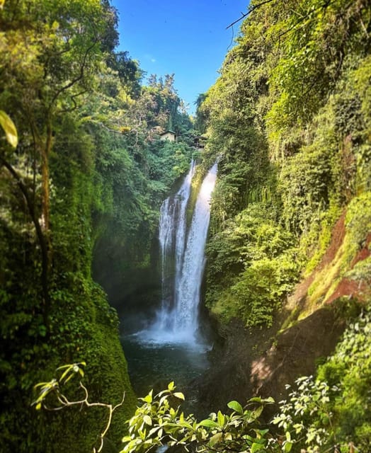 Aling-Aling, Gitgit, and Banyumala Waterfalls Tours - Tour Experience