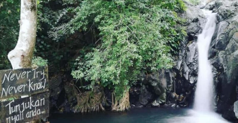 Aling-Aling, Gitgit, and Banyumala Waterfalls Tours - Explore Balis Mountains