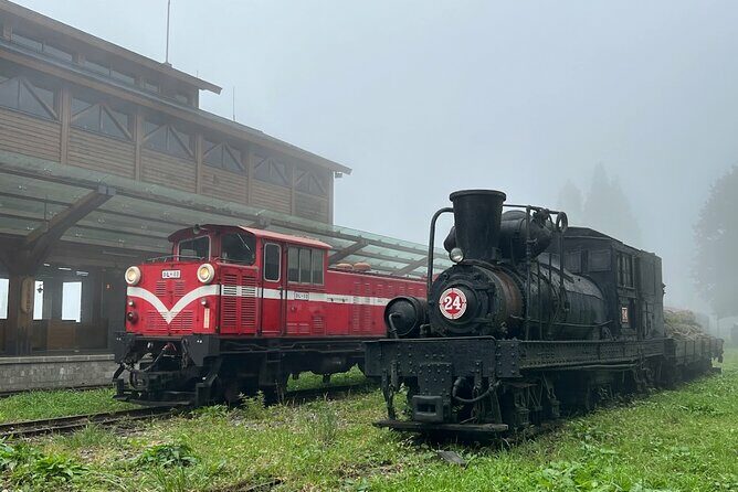 Alishan Day Tour from Chiayi (Incl. Park Entrance) - Key Points