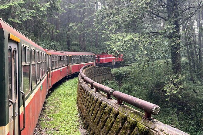 Alishan Day Tour from Chiayi (Incl. Park Entrance) - What the Reviews Say