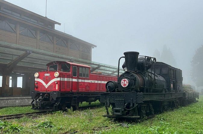 Alishan Day Tour from Chiayi (Incl. Park Entrance) - Practical Tips for Future Travelers