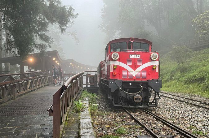 Alishan Day Tour from Chiayi (Incl. Park Entrance) - The Sum Up