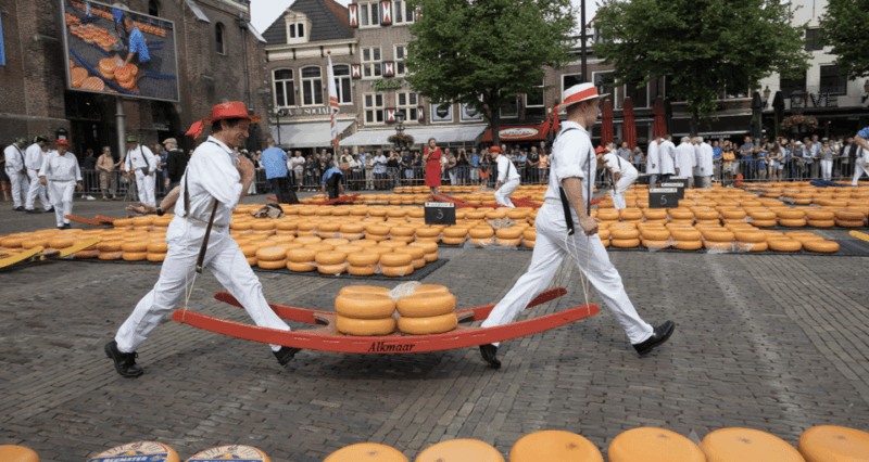 Alkmaar: Guided Walking Tour With Welcome Drink - Not Suitable For