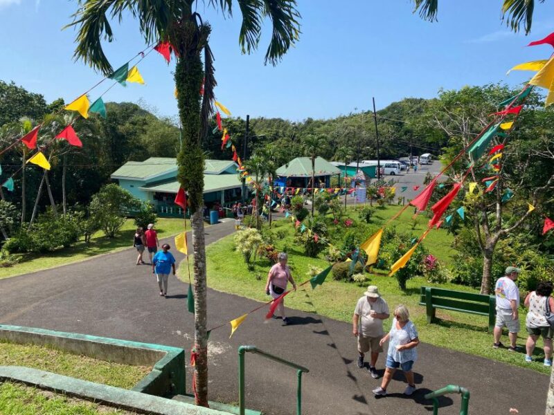 All About Grenada - Customer Feedback