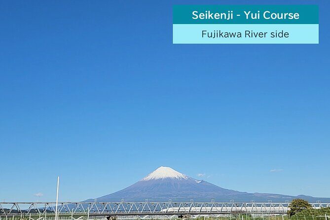 All-about Mt.Fuji Short Tour from Shimizu Port - Value and Price Analysis