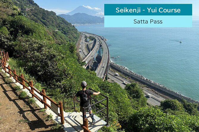 All-about Mt.Fuji Short Tour from Shimizu Port - Who is This Tour Best For?