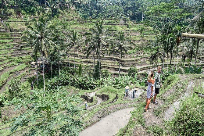 All BEST NATURE, Culture and Heritage: Private Tour in UBUD - Taking in Seminyaks Coastal Charm
