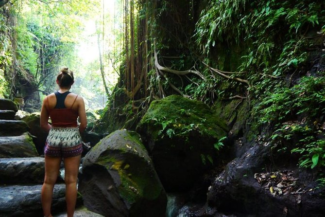 All BEST NATURE, Culture and Heritage: Private Tour in UBUD - Indulging in Seminyaks Culinary Delights