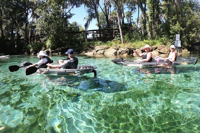 All Clear Kayak Springs & Manatees Tour Of Crystal River - Tour Duration and Timing