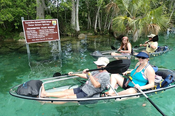 All Clear Kayak Springs & Manatees Tour Of Crystal River - Wildlife Sightings