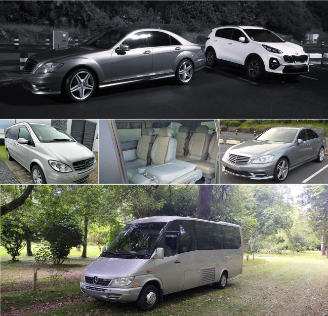 ALL CRUISES - Shore Tour Sete Cidades Green & Blue Lakes - Key Points