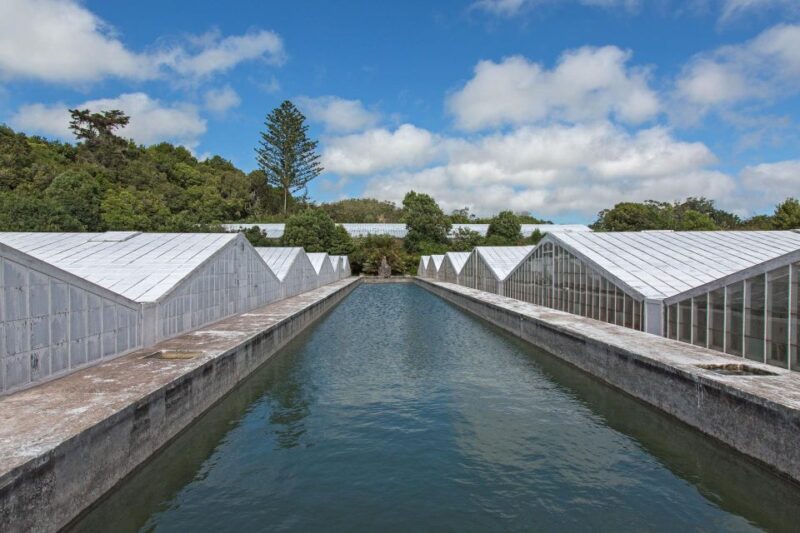 ALL CRUISES - Shore Tour Sete Cidades Green & Blue Lakes - Booking and Cancellation Policy