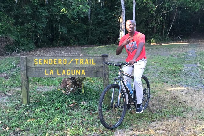 All Day 15 $ Bike - Rental Details Breakdown