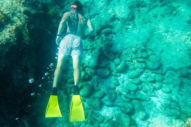 All Day Adventure With a Beach BBQ Feast From Providenciales - Key Highlights and Inclusions