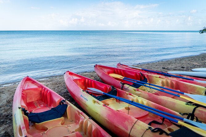 All Day Kayak Rental in Puerto Rico - Kayak Rental Experience