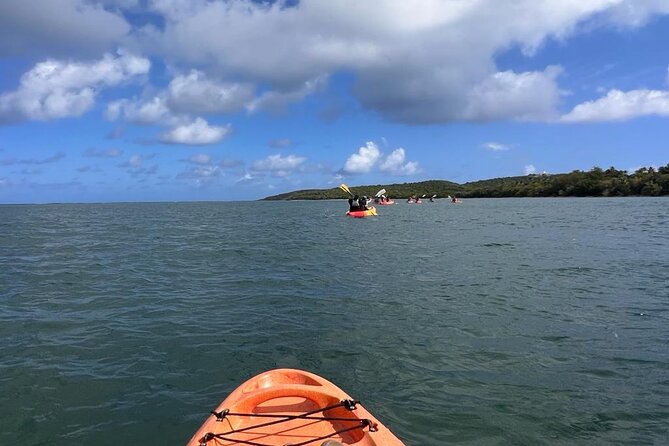 All Day Kayak Rental in Puerto Rico - Capturing Souvenir Moments