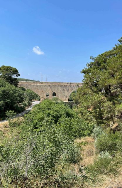 All-Day Knossos Palace Tour & Olive Mill Visit - Tour Archaeological Museum