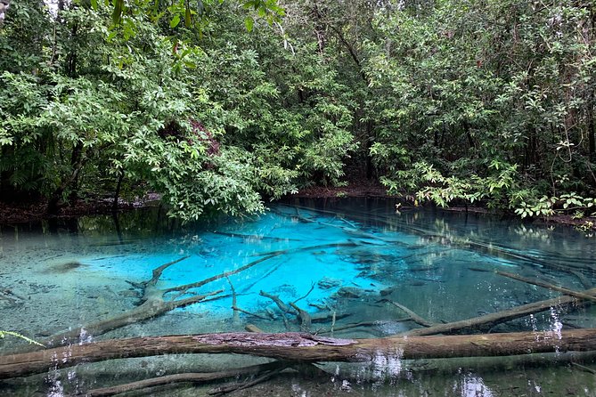 All Day Krabi Jungle Tour (Hot Spring Water, Emerald Pool, Tiger Cave Temple) - Lunch and Cuisine
