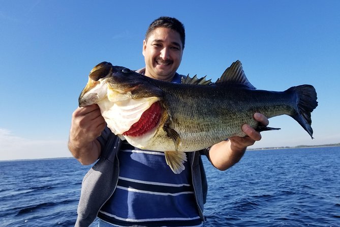 All Day Lake Toho Fishing Trip Near Kissimmee - Cancellation and Pricing