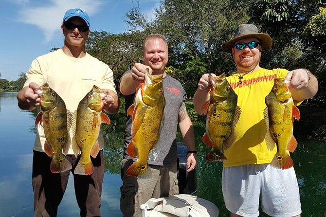 All Day Miami Peacock Bass Fishing Trip - Highlights of the Peacock Bass Fishing