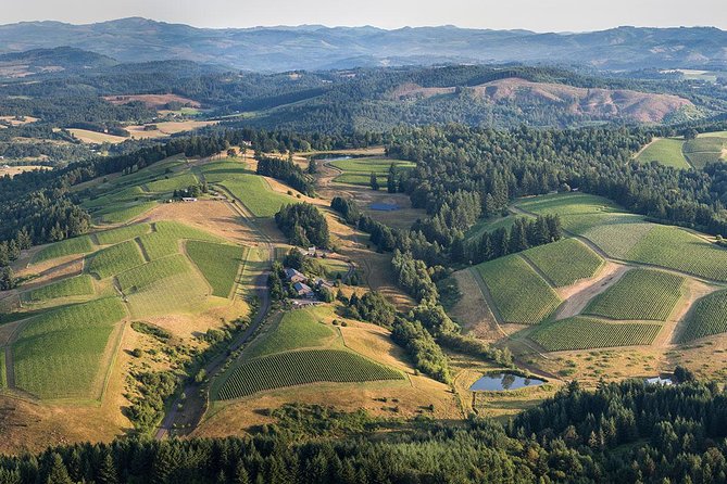 All Day Northern Oregon Wineries and Forest Bike Tour - Key Points