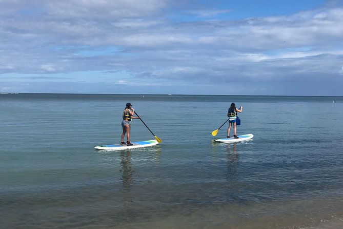 All Day PaddleBoard Rental - About Your Stay