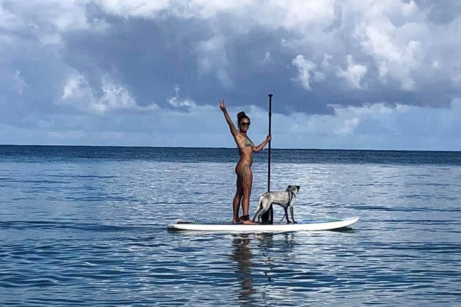 All Day PaddleBoard Rental - Paddleboarding Through Tranquil Mangrove Waterways
