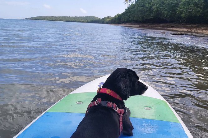 All Day PaddleBoard Rental - Flexible Booking and Cancellation Policies