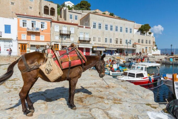 All-Day Private Excursion to Hydra Island From Athens - Exclusions From the Excursion Package