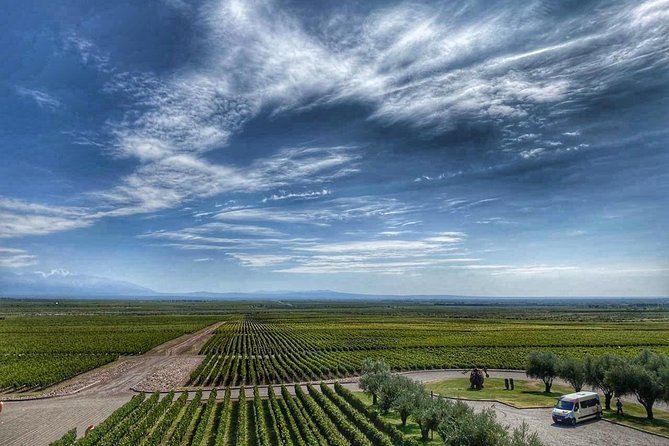 All Day, Small Group, Luxury Wine Tour With Gourmet Lunch - Multi-Course Gourmet Lunch Pairings