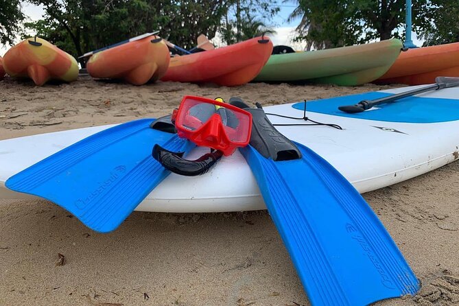 All Day Snorkeling Gear Rental in Puerto Rico - Additional Rental Items