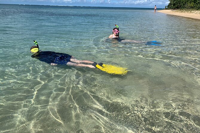 All Day Snorkeling Gear Rental in Puerto Rico - Highlights of the Activity