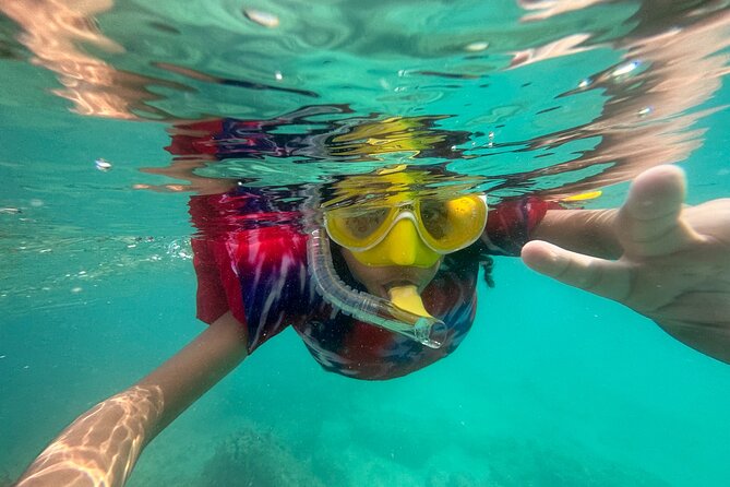 All Day Snorkeling Gear Rental in Puerto Rico - Meeting and Operational Details