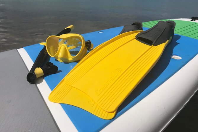 All Day Snorkeling Gear Rental in Puerto Rico - Pricing and Cancellation Policy