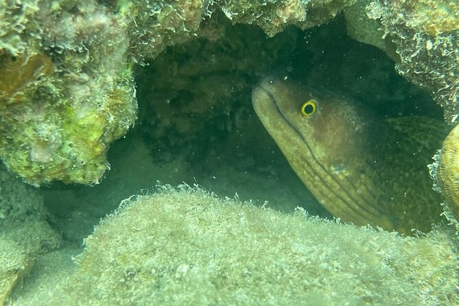 All Day Snorkeling Gear Rental in Puerto Rico - Exploring the Natural Reserve