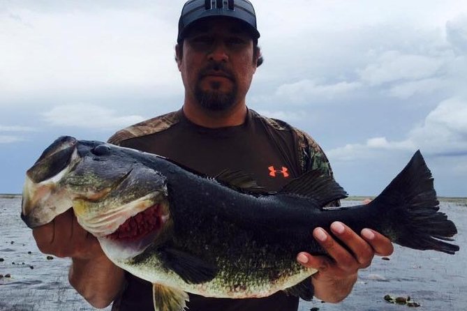 All Day St Johns River Fishing Trip Near Daytona - Catching Trophy Largemouth Bass