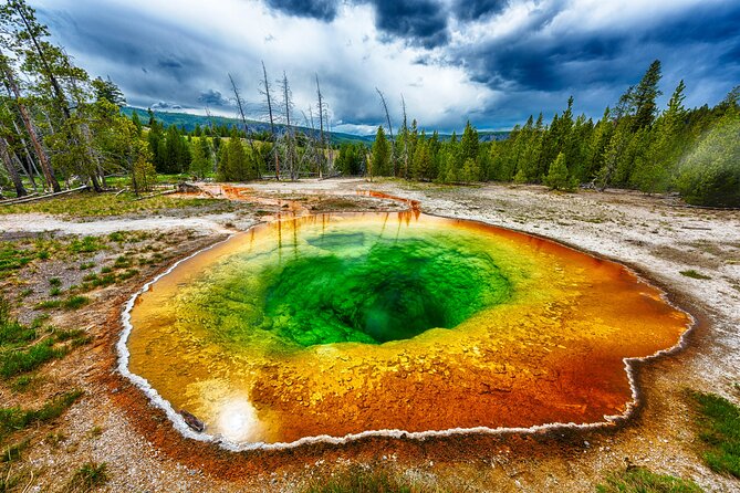 All-Day Tour of Yellowstone National Park - Intimate Look at Yellowstones Ecosystem