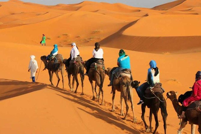 All Exclusive, 3-Day Group Sahara Tour From Marrakech to Merzouga - Accommodation and Dining