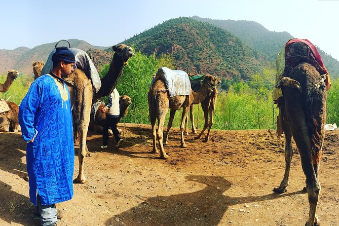 All Exclusive, Day Trip to Ourika Valley From Marrakech - Booking Your Stay
