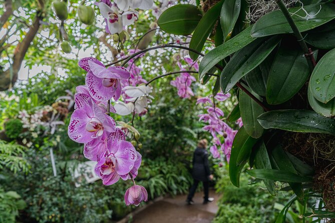 All-Garden Pass for the New York Botanical Garden - Facilities and Accessibility