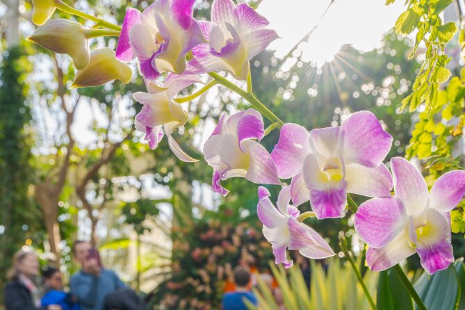 All-Garden Pass for the New York Botanical Garden - Getting to the Garden