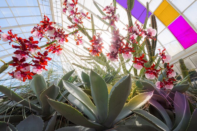 All-Garden Pass for the New York Botanical Garden - What to Expect at the Garden
